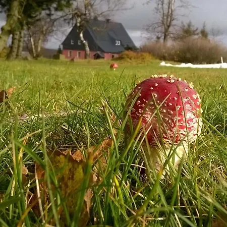 Zum Ausblick * Альтенберг