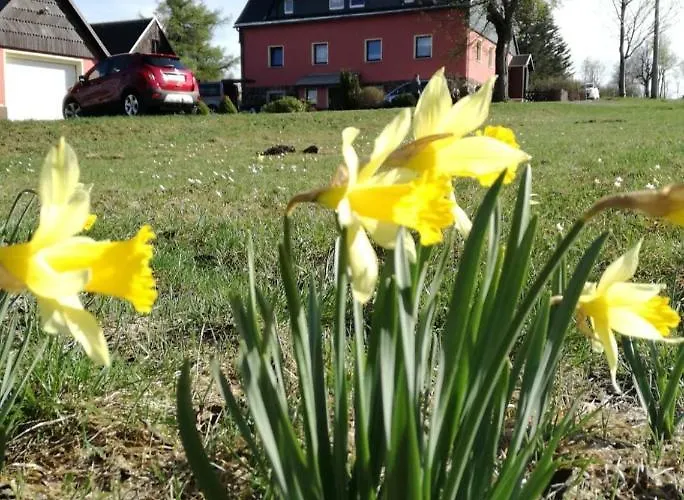 Zum Ausblick Altenberg